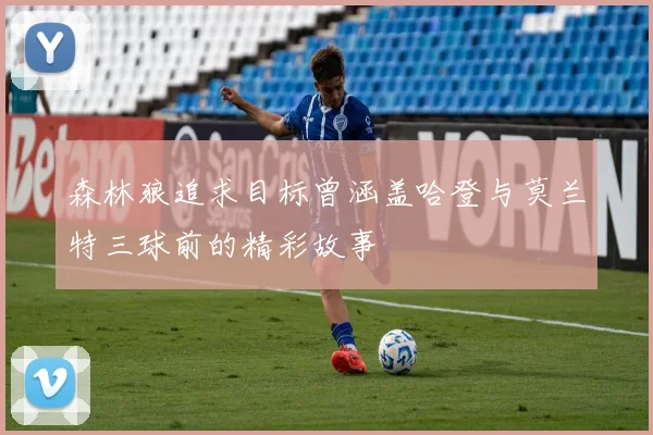 森林狼追求目标曾涵盖哈登与莫兰特三球前的精彩故事